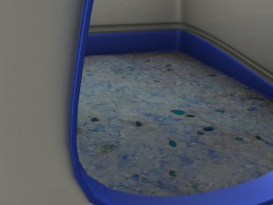 toilet cat Modello 3D