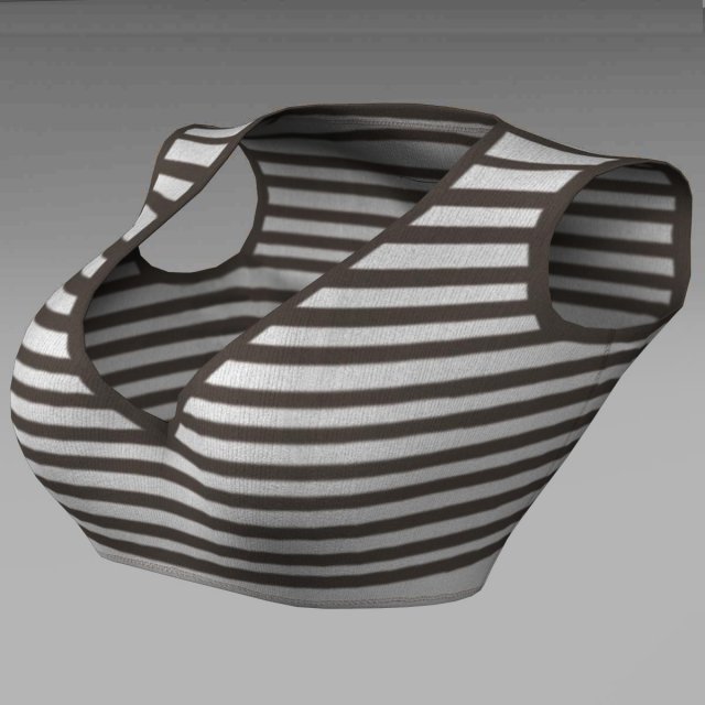 female top 3D Model .c4d .max .obj .3ds .fbx .stl .blend 