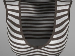 female top 3D Model