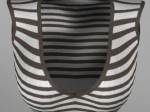 parte superiore femminile Modello 3D