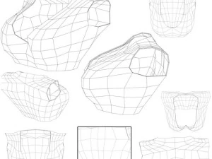 parte superiore femminile Modello 3D