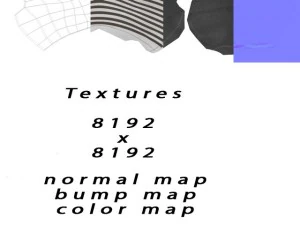 parte superiore femminile Modello 3D