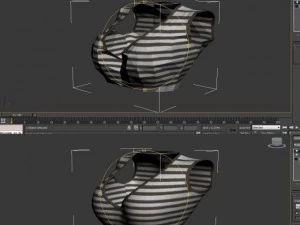 parte superiore femminile Modello 3D