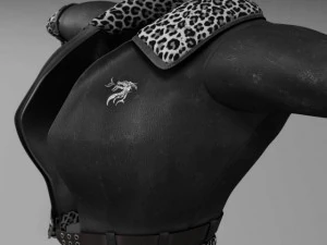 एविएटर जैकेट 3D मॉडल