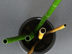 bamboo and vase Model 3D