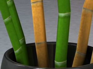 bamboo and vase Model 3D