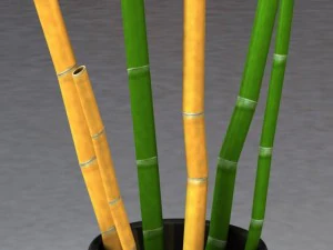 bamboo and vase 3D Model