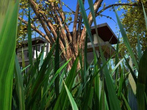 luxurious house 3Dモデル