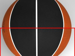 bicolor basketball ball 3D Model