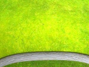 tennis ball Modello 3D