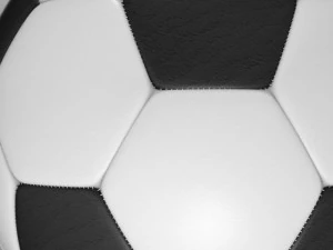 soccerball black white 3D Model