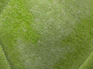 soccerball indoor 3D Model