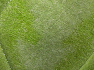 soccerball indoor 3D Model