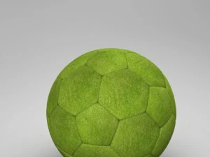 soccerball indoor 3D Model