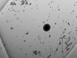 soccerball white Modèle 3D