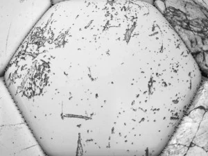 soccerball white 3D Model