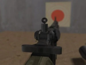 modern sr25 sr25 animated 3D Model