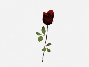 rose Modelo 3D
