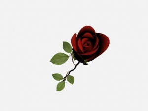 rose 3D Model