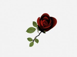 роза 3D Модель