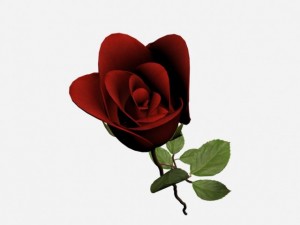 rose 3D Model