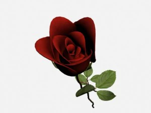 роза 3D Модель