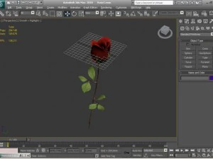 роза 3D Модель