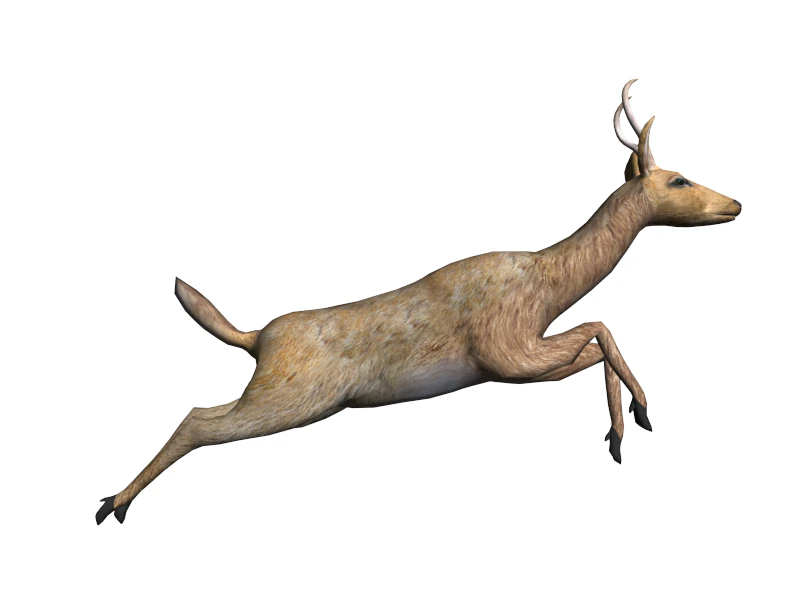 deer 3D Model .c4d .max .obj .3ds .fbx .stl .blend