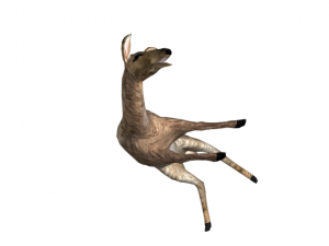deer 3D 모델