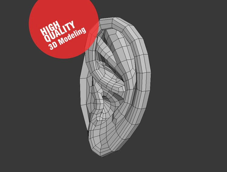 3d ear 3D Model .c4d .max .obj .3ds .fbx .stl .blend 
