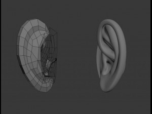 3d ear Modelo 3D