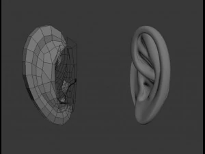 3d ear 3D Model