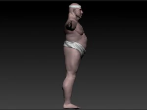 sumo 3D Model