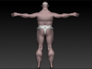 sumo 3Dモデル