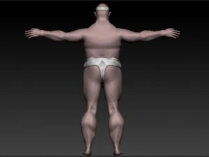 sumo 3D Model