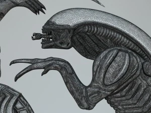 avp 3D Model