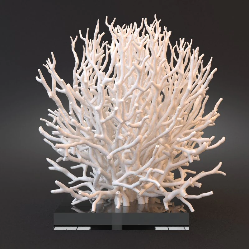 white coral specimen on lucite stand 3D Model .c4d .max .obj .3ds .fbx .stl .blend 