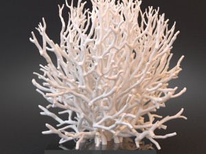 white coral specimen on lucite stand Model 3D