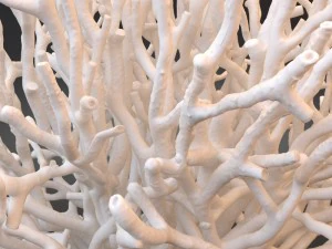 white coral specimen on lucite stand 3D Model