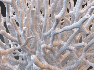 white coral specimen on lucite stand 3D Model
