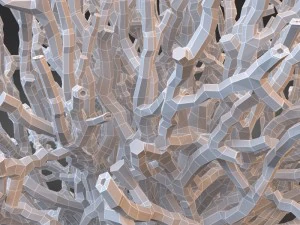 white coral specimen on lucite stand 3D Model