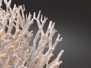white coral specimen on lucite stand 3D Model