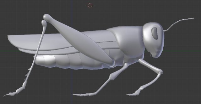 grasshopper 3D Model .c4d .max .obj .3ds .fbx .stl .blend 