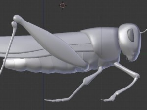 grasshopper Model 3D