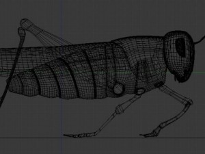 grasshopper 3D Model