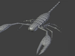 scorpion 3D Model