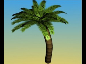 palm Modèle 3D