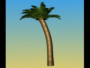 palm 3D-Modell