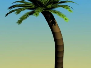 palm 3D Model
