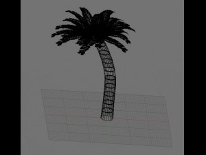 palm 3D-Modell